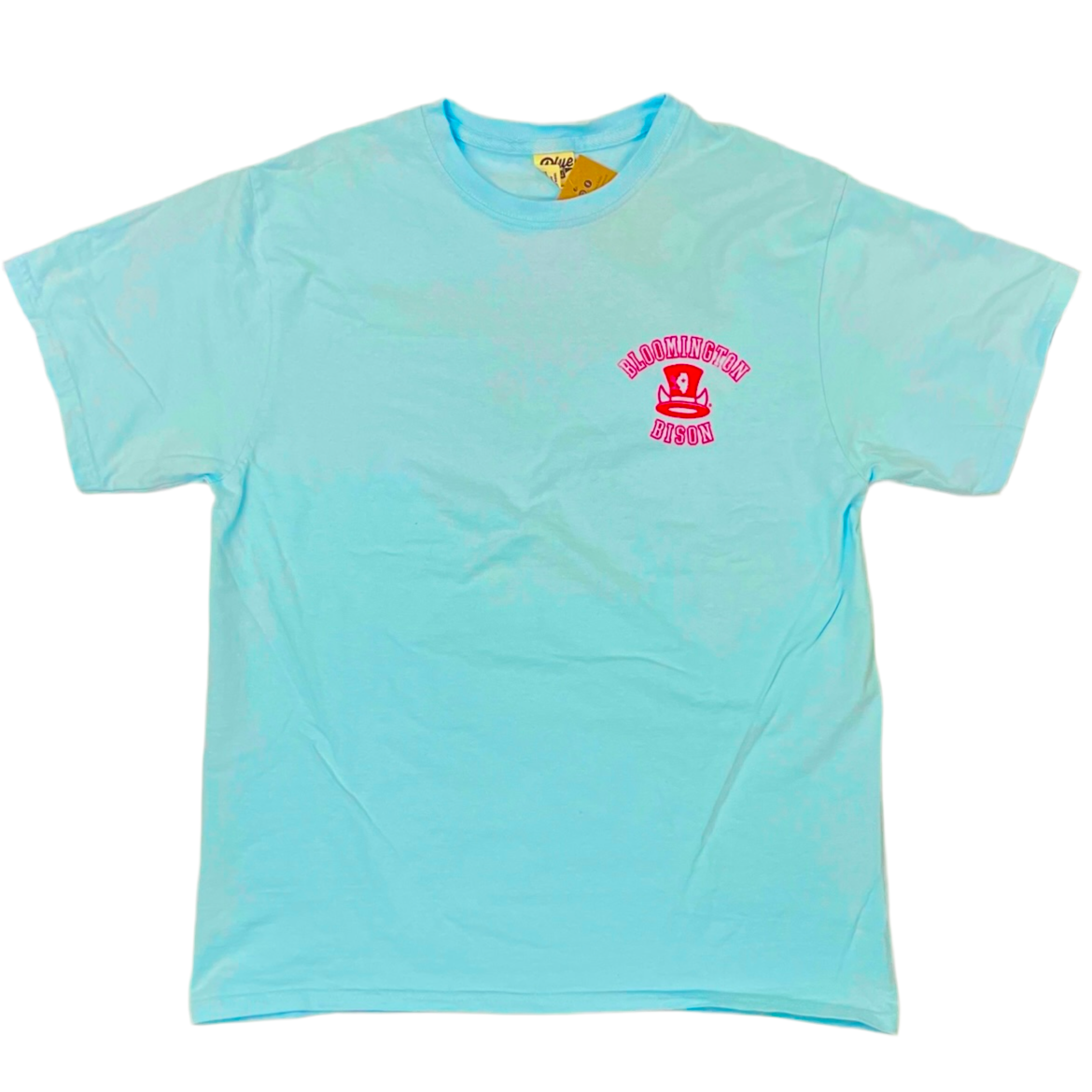 Powder Blue Bison Hat T
