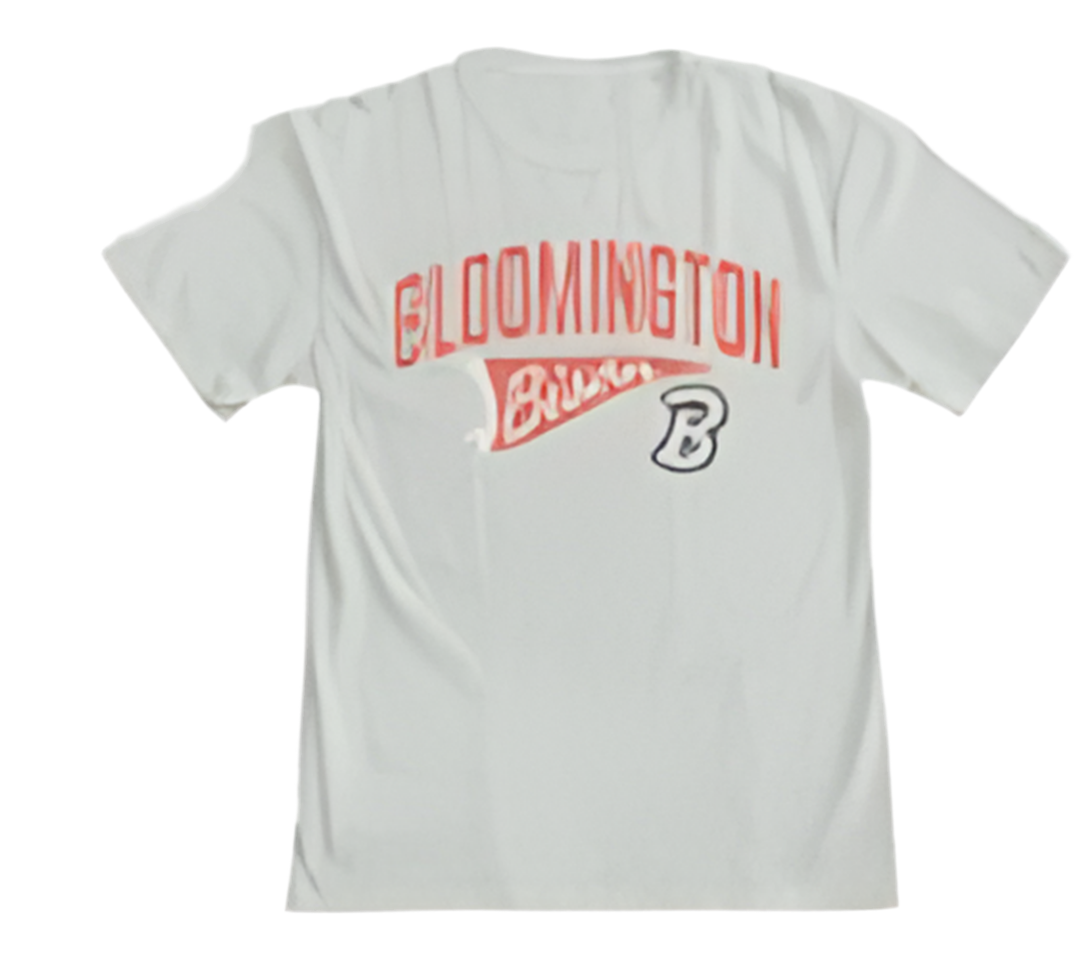 Adult Cement Bison Pennant T
