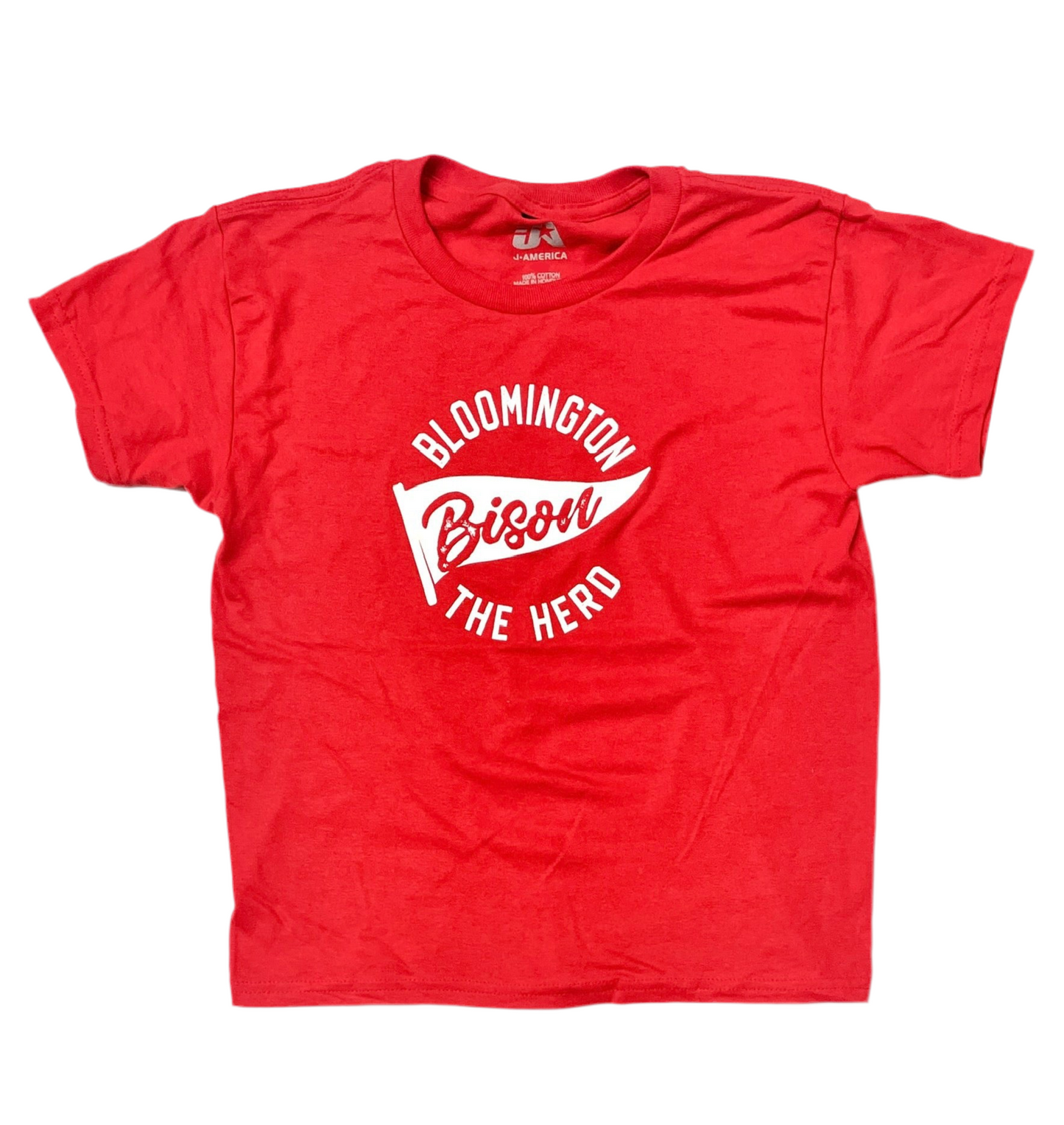 Youth Bison Red Pennant T