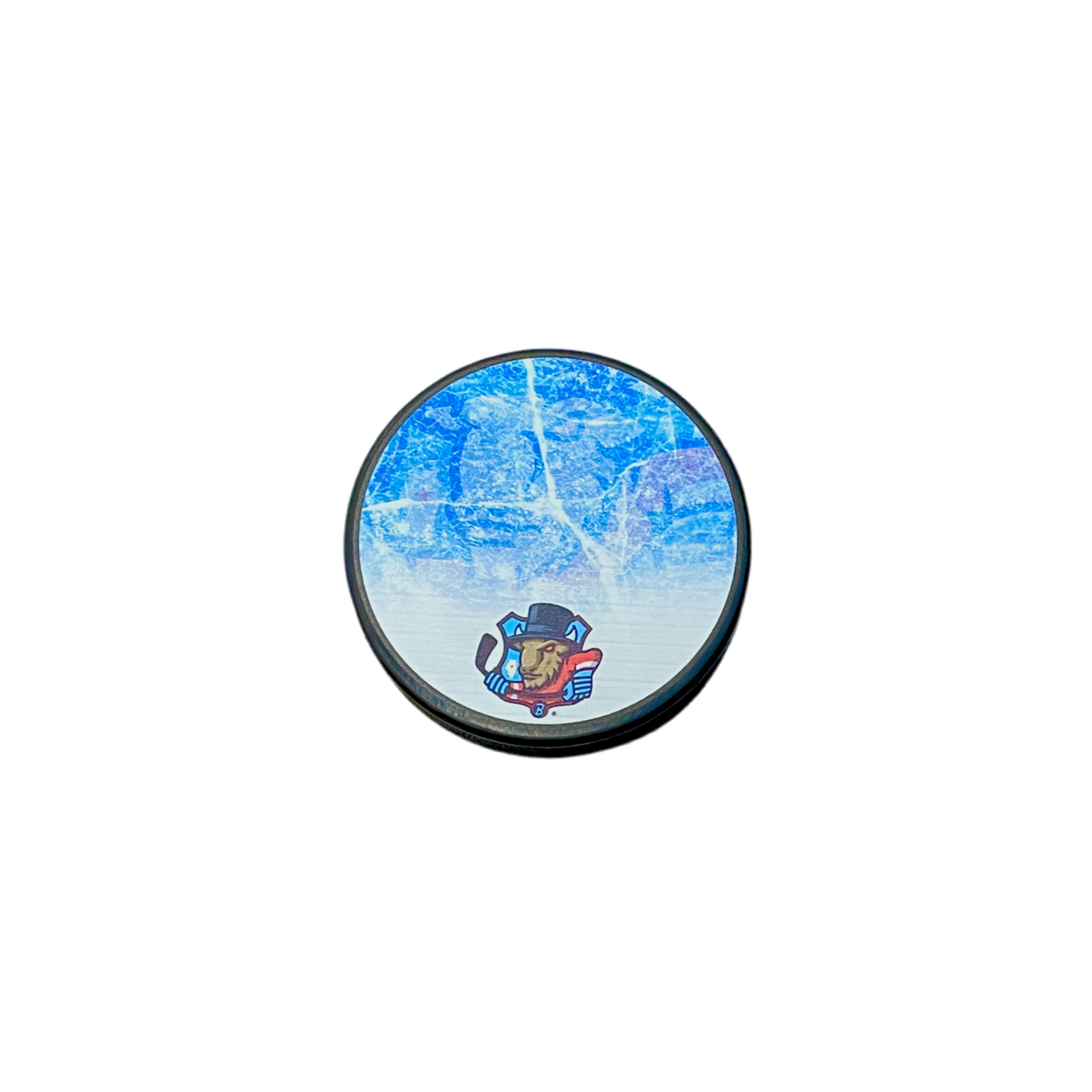 Frozen Puck