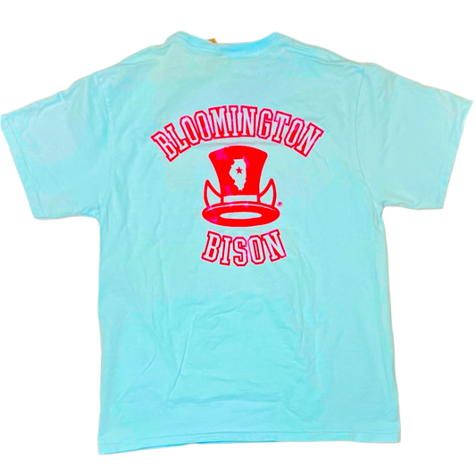 Powder Blue Bison Hat T