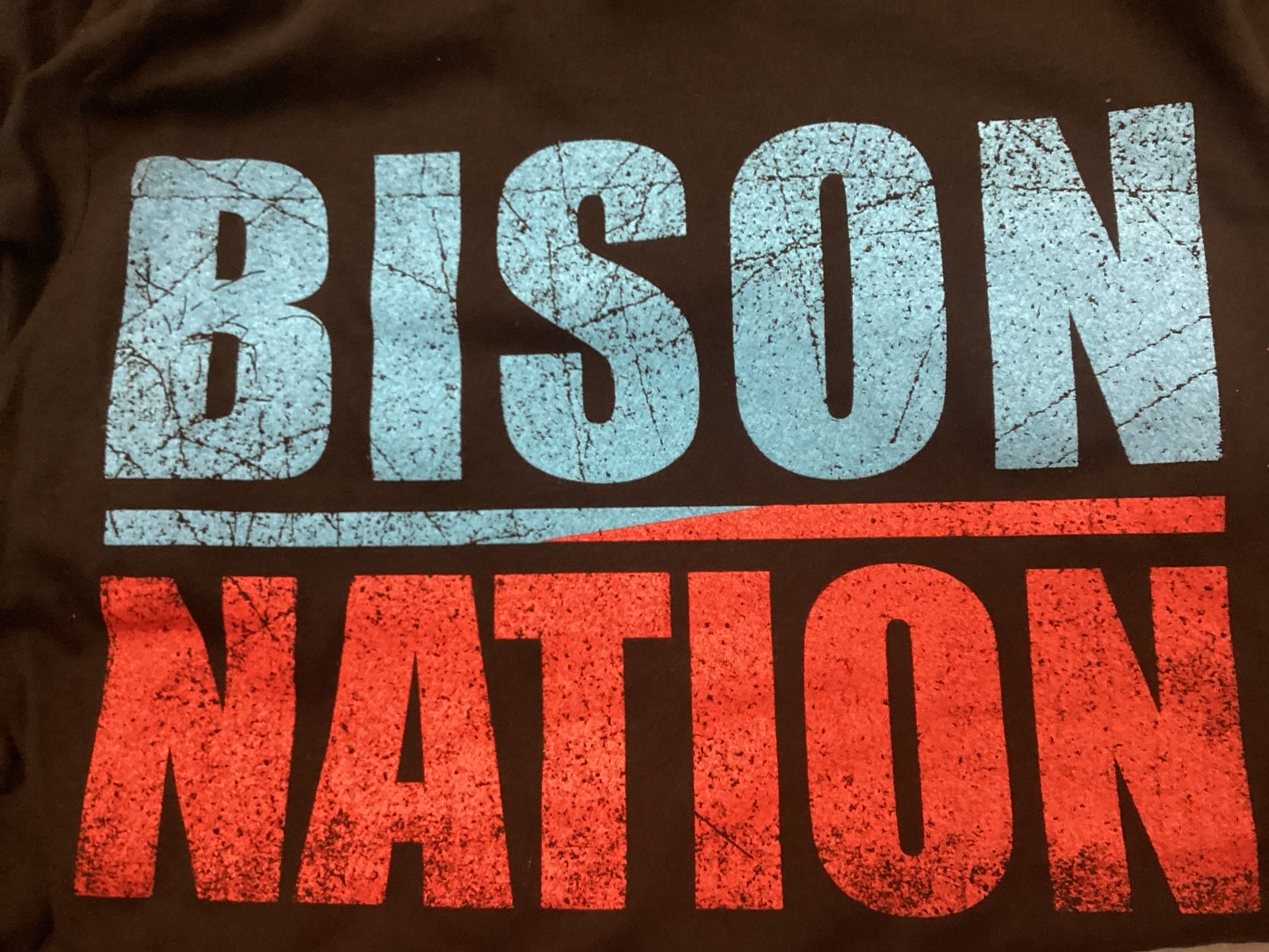 Bison Nation Tshirt