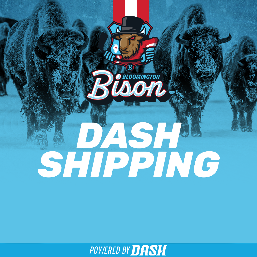 Dash Auction Shipping